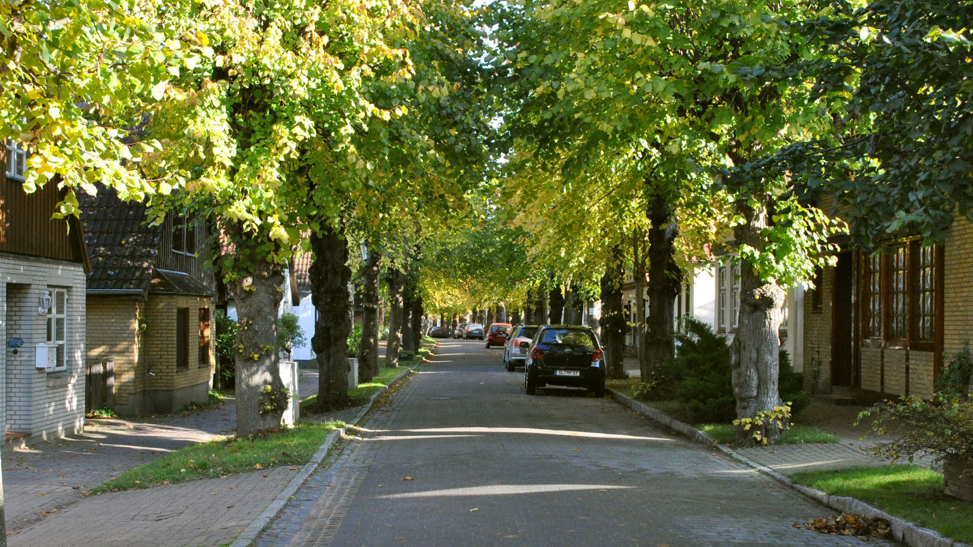 Die Lange Straße mit Linden