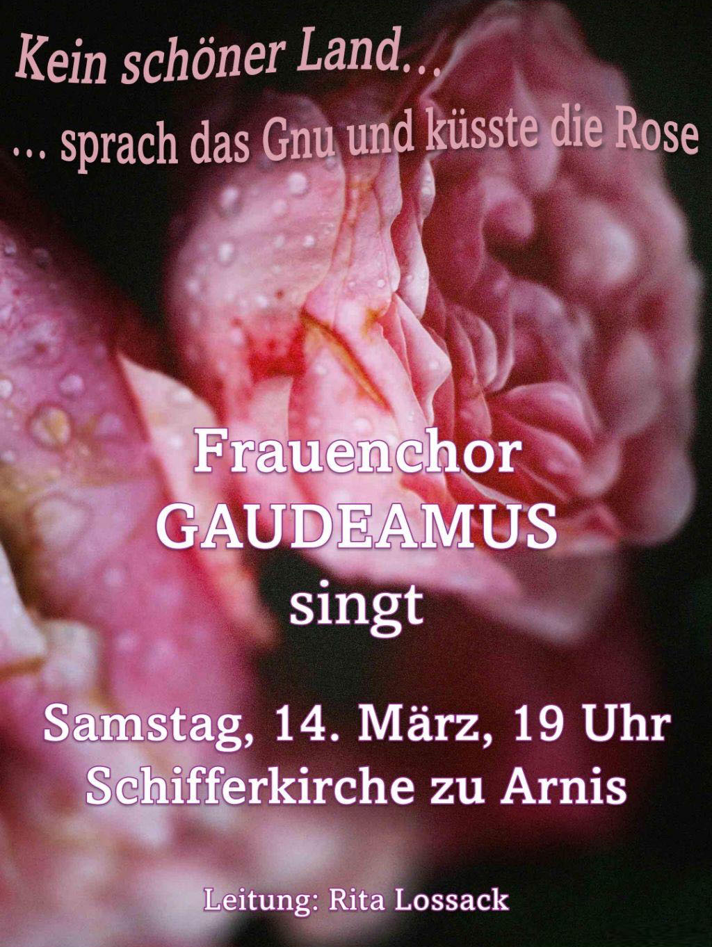 Gaudeamus